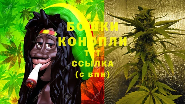 стаф Балахна