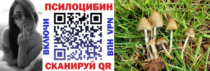 Купить закладки  Вуктыл  Псилоцибиновые грибы MAGIC MUSHROOMS 